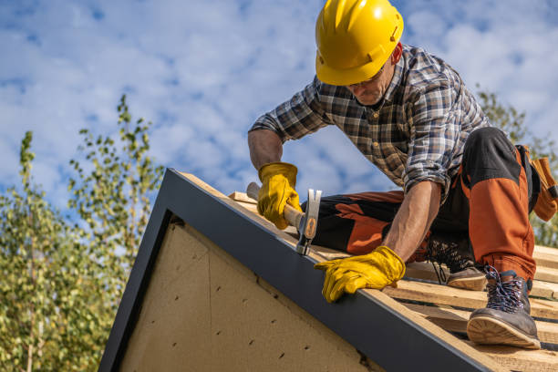 Best Roof Ventilation Installation  in Waverly, TN